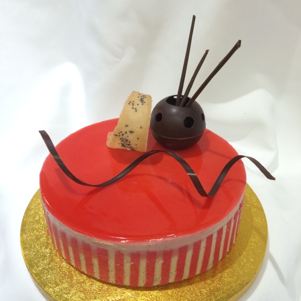 SP Modern Entremet overall
